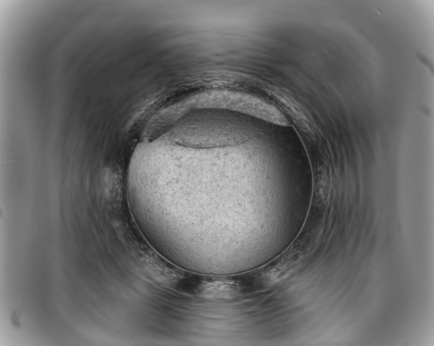 X0000096950461200802151241