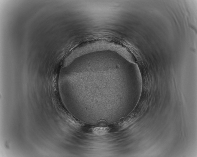 X0000096950465200802151241
