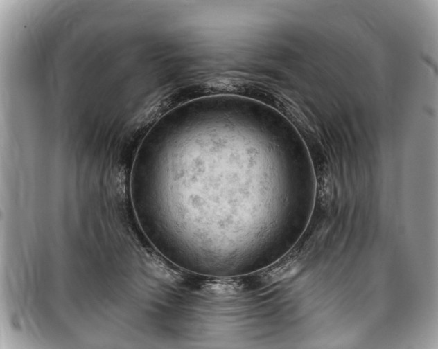X0000096950466200802151241