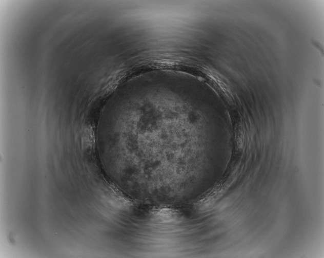 X0000096950467200802151241