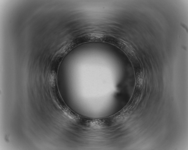 X0000096950468200802151241