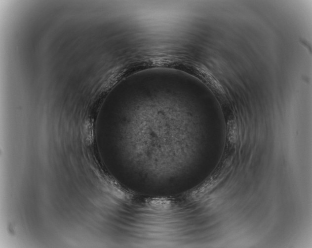 X0000096950471200802151242