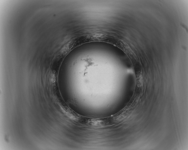 X0000096950472200802151242