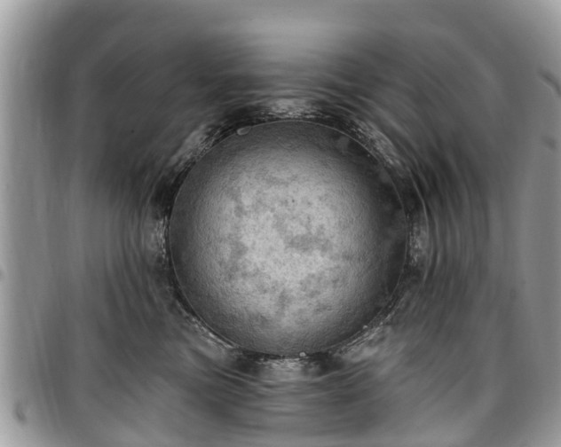 X0000096950473200802151242