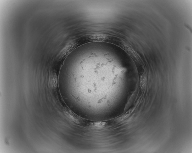 X0000096950474200802151242