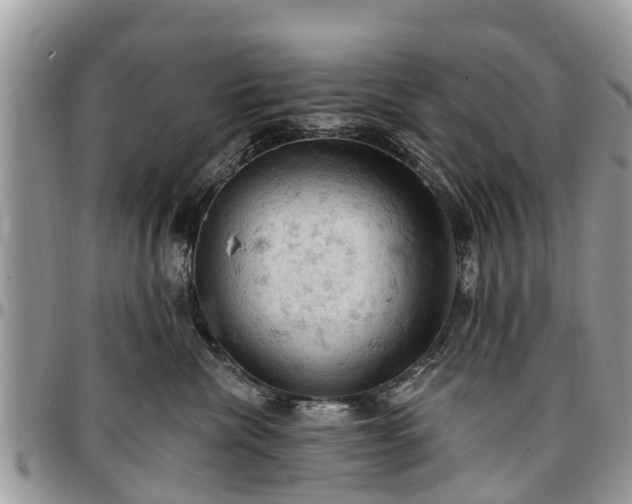 X0000096950476200802151242