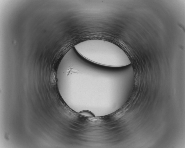 X0000096950477200802151242