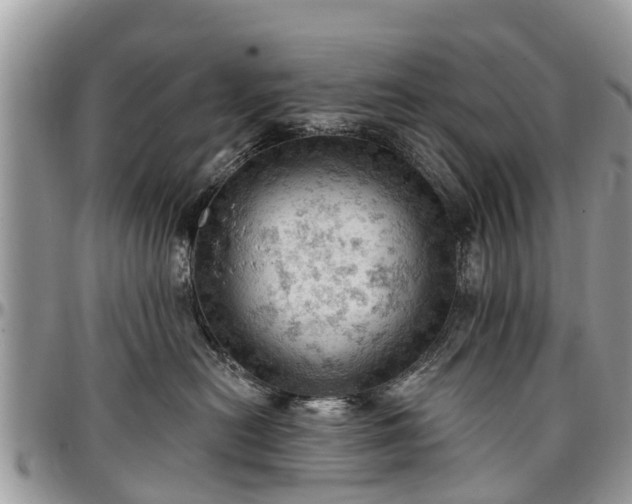 X0000096950478200802151242