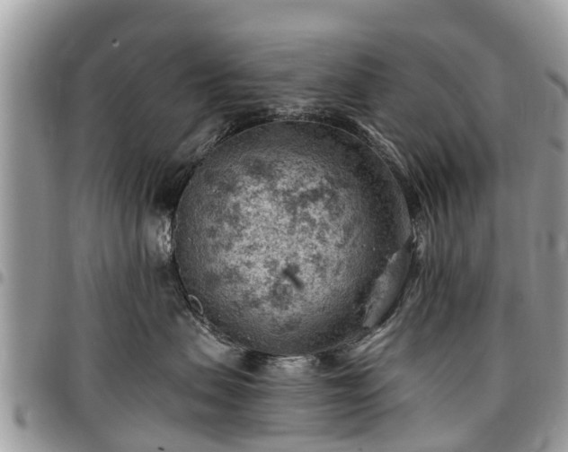X0000096950479200802151242