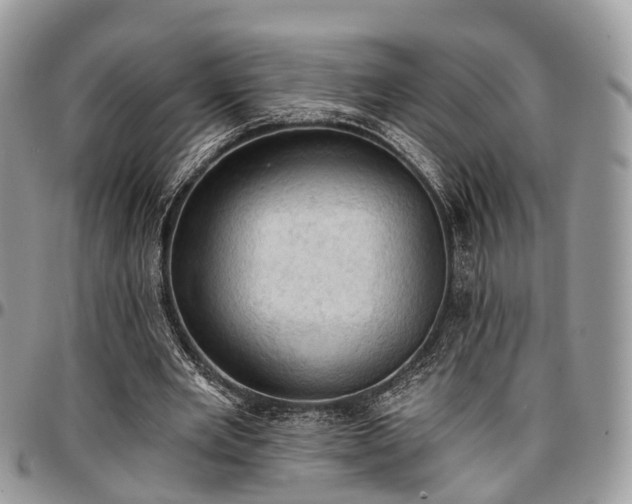 X0000096950485200802151241