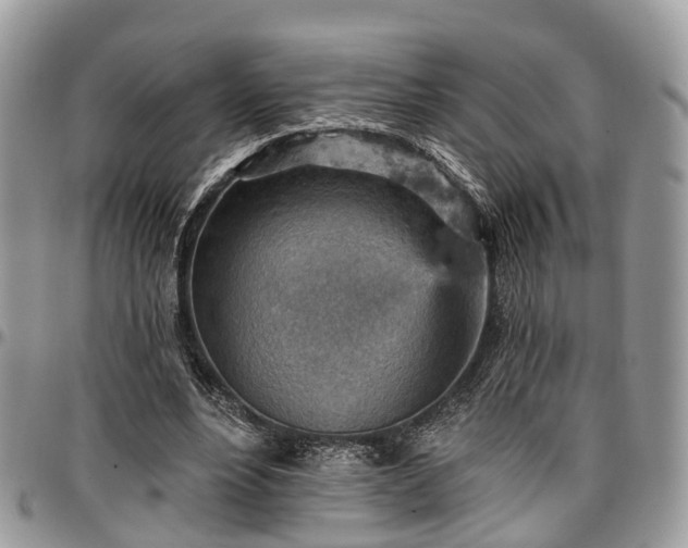 X0000096950488200802151241