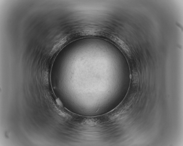 X0000096950489200802151241