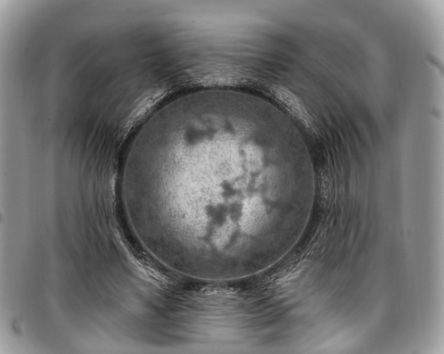 X0000096950491200802151241