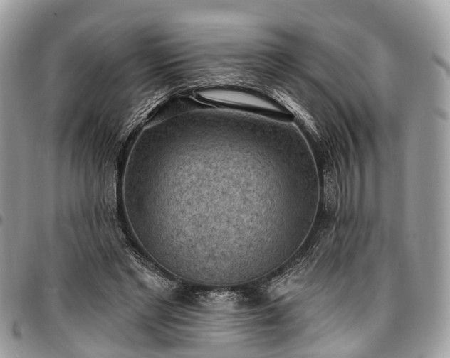 X0000096950493200802151241
