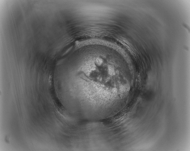X0000096950499200802151241