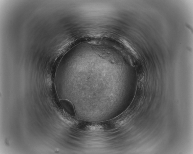 X0000096950500200802151241