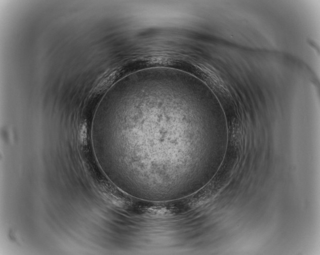 X0000096950502200802151241