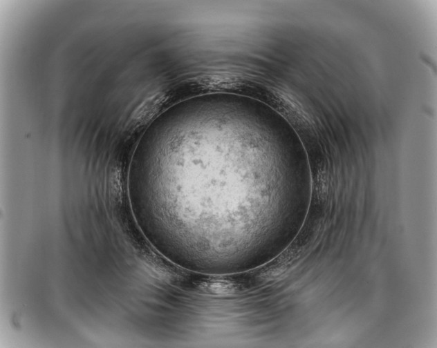 X0000096950506200802151241