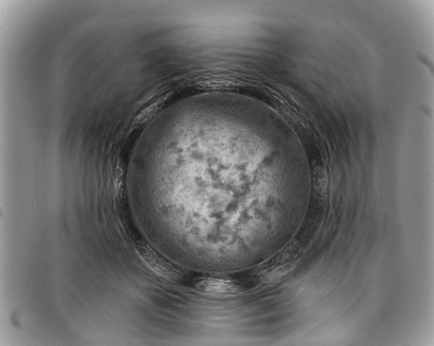 X0000096950507200802151241
