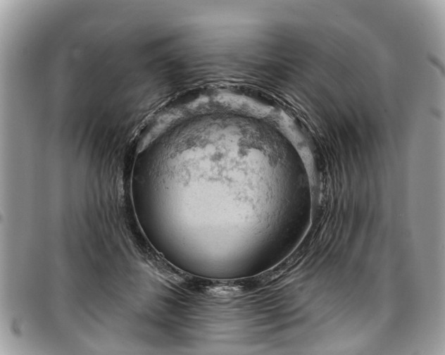X0000096950508200802151241