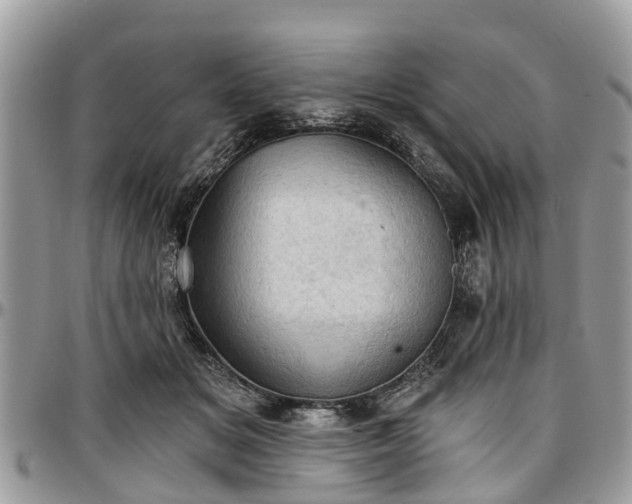 X0000096950509200802151241