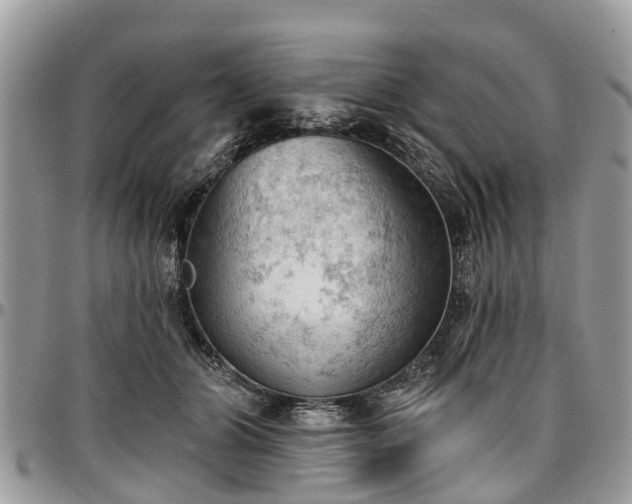X0000096950510200802151241