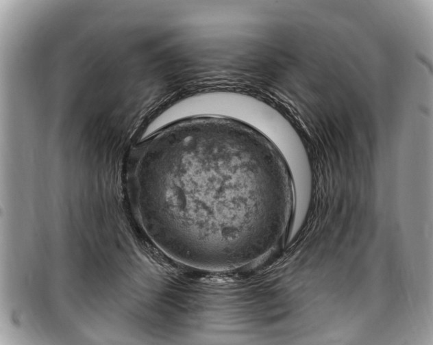 X0000096950512200802151241