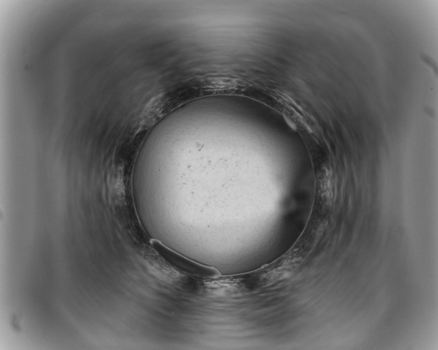 X0000096950516200802151240