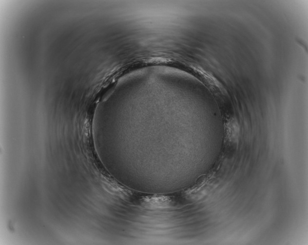 X0000096950517200802151240