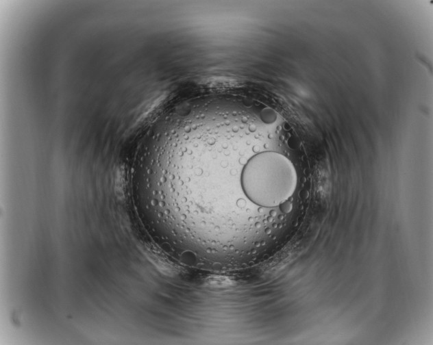 X0000096950519200802151240