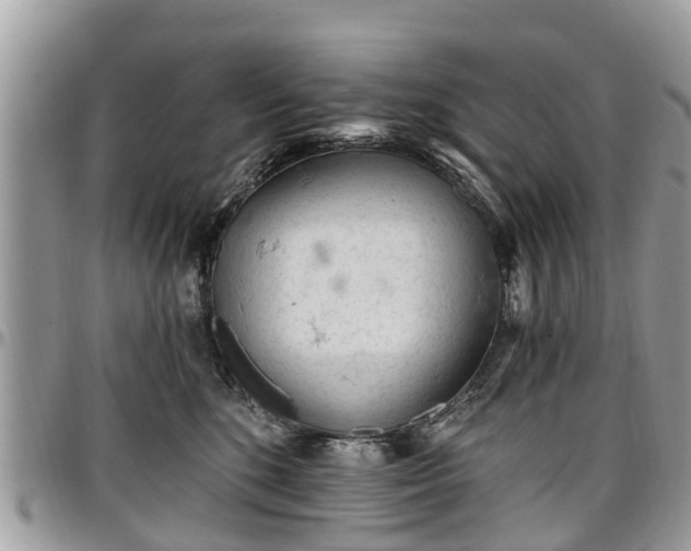 X0000096950520200802151240