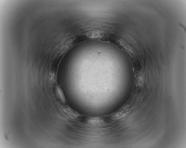 X0000096950521200802151240