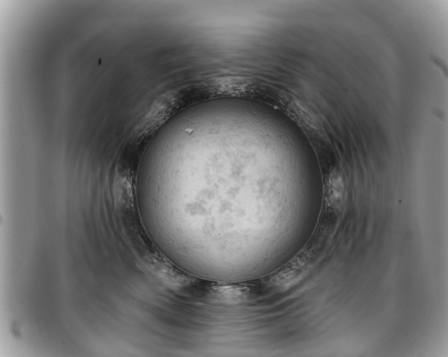 X0000096950522200802151240