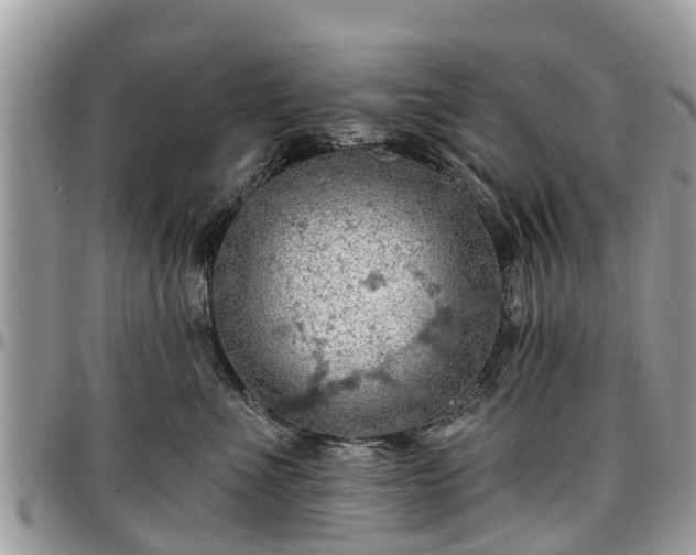 X0000096950523200802151240