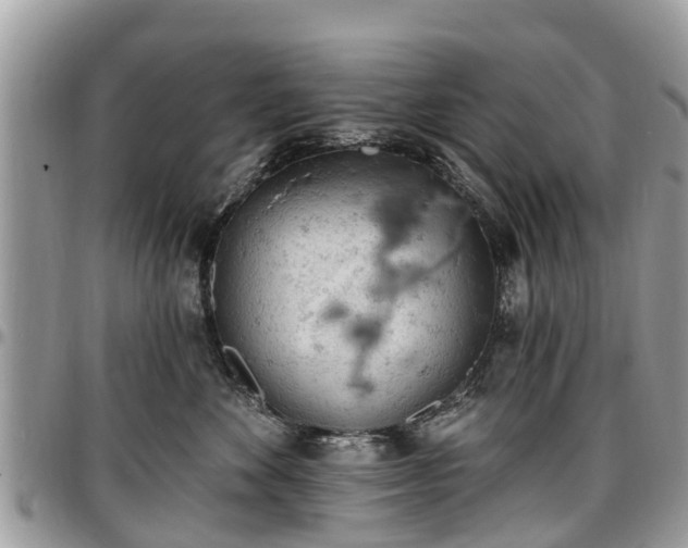 X0000096950524200802151240