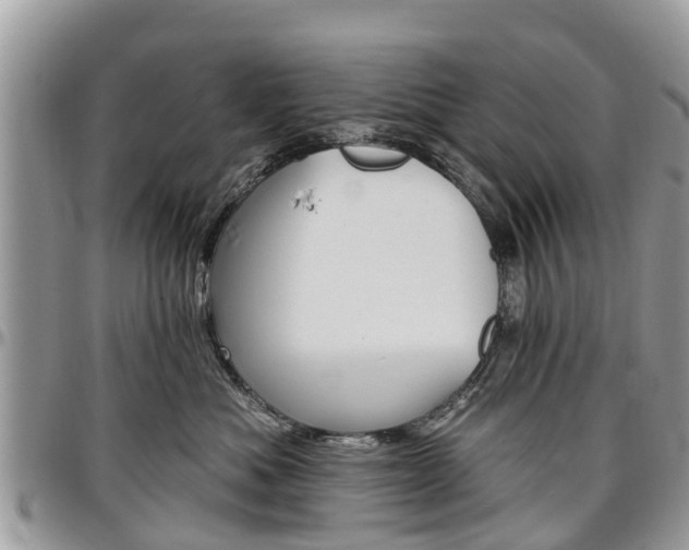 X0000096950525200802151240