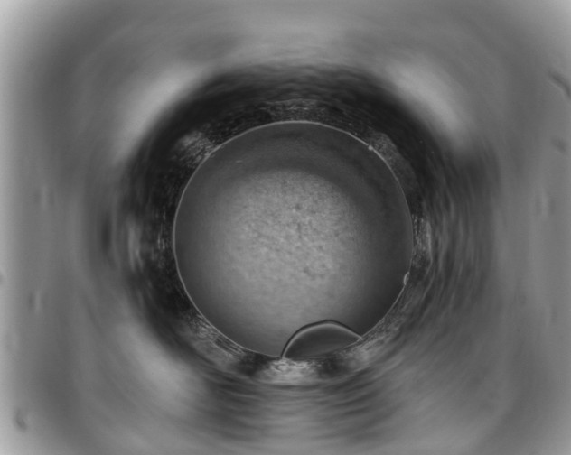X0000096950526200802151240