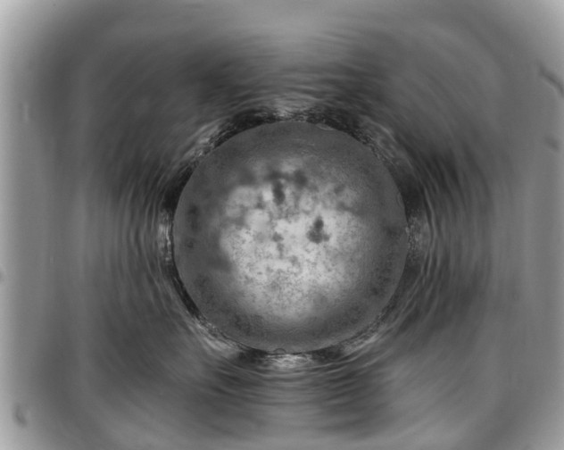 X0000096950527200802151240