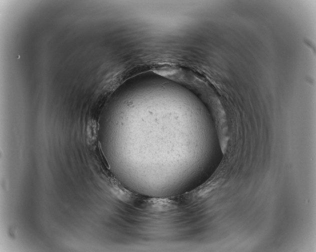 X0000096950528200802151240