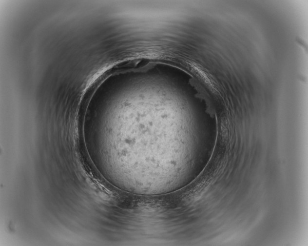 X0000096950532200802151240