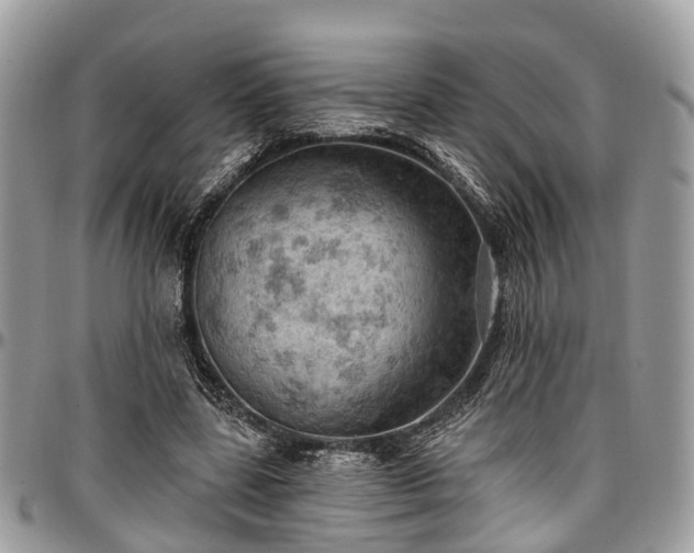 X0000096950539200802151240