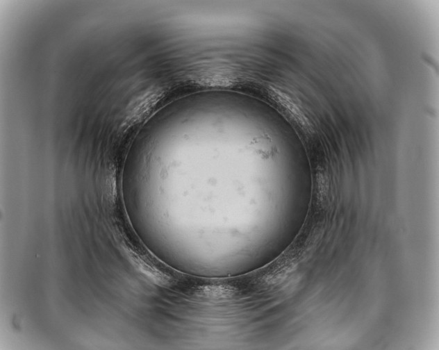 X0000096950541200802151240