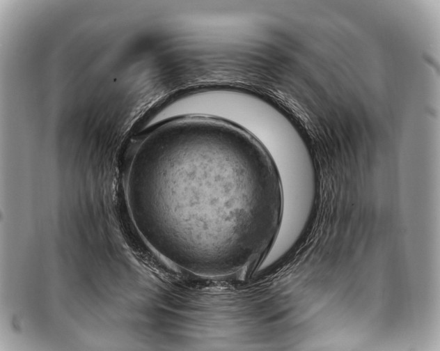 X0000096950544200802151240
