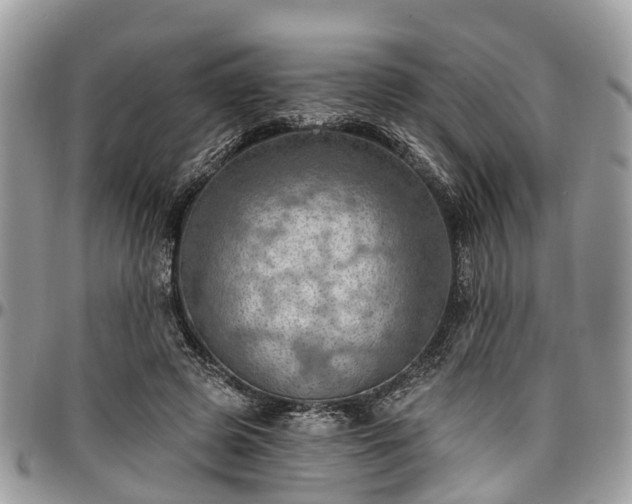 X0000096950545200802151240