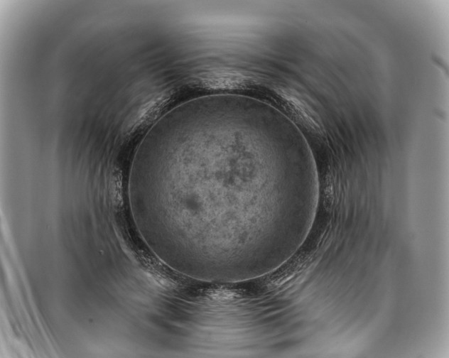 X0000096950547200802151240