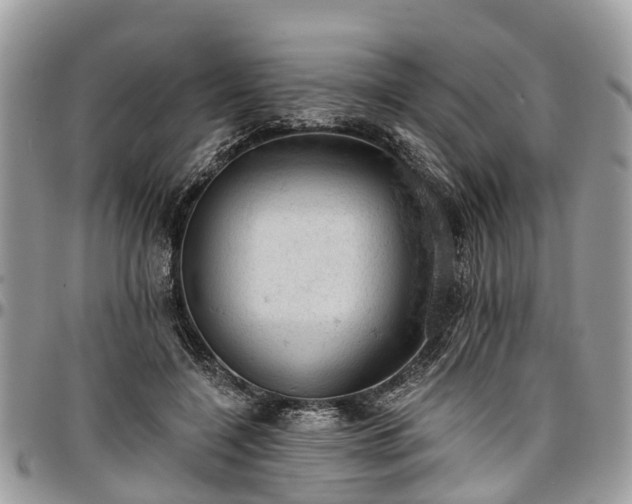 X0000096950548200802151240