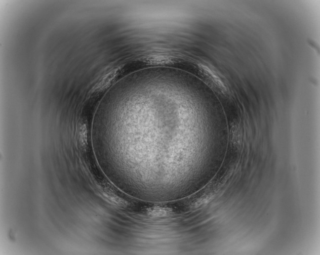 X0000096950549200802151240