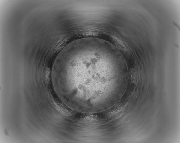 X0000096950550200802151240