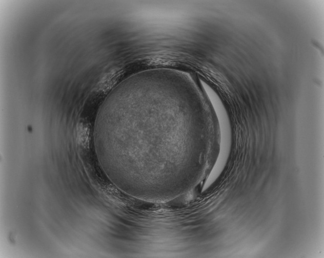 X0000096950551200802151240