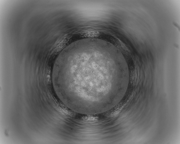 X0000096950553200802151240